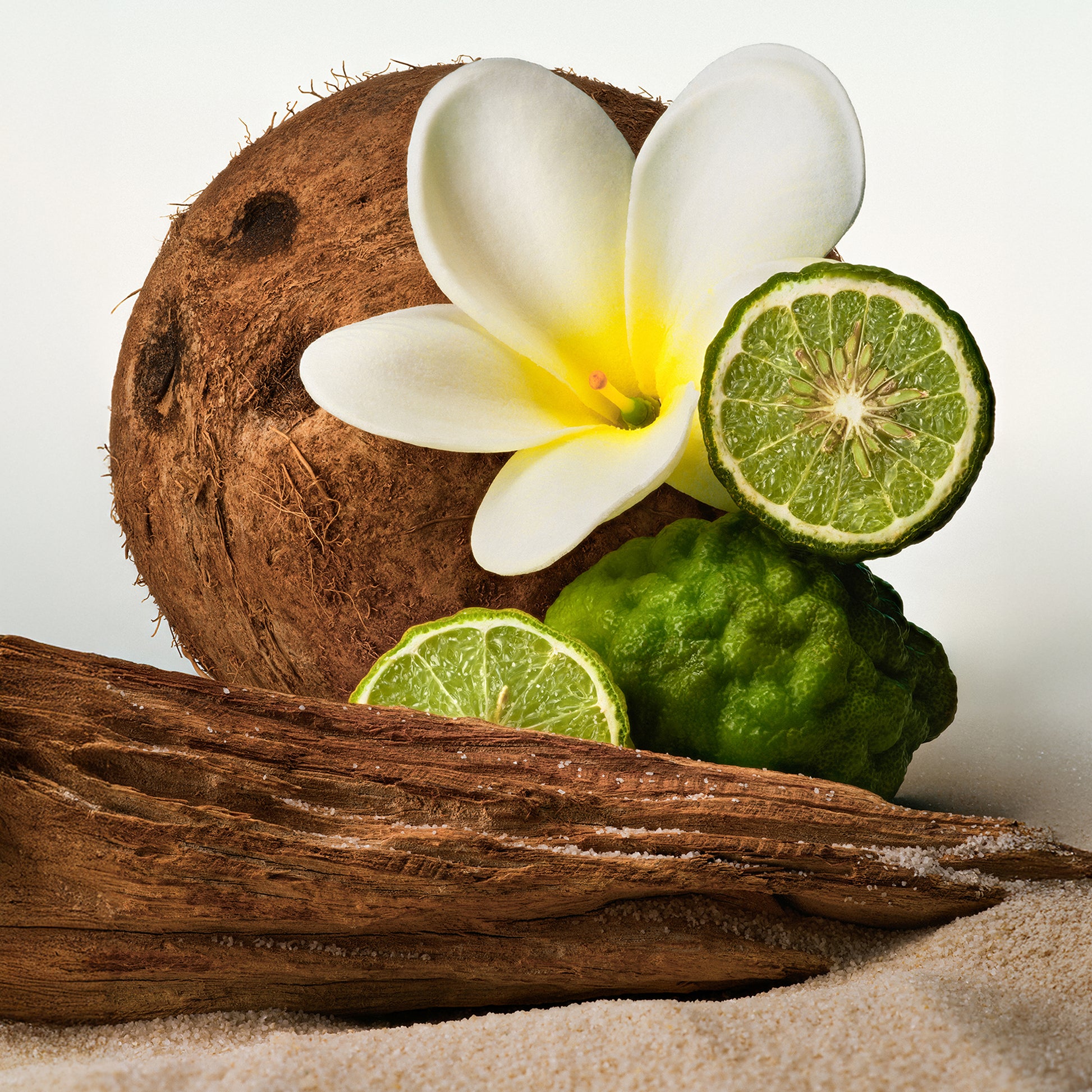 Beach Skin - Shimmering Body Oil - Phlur