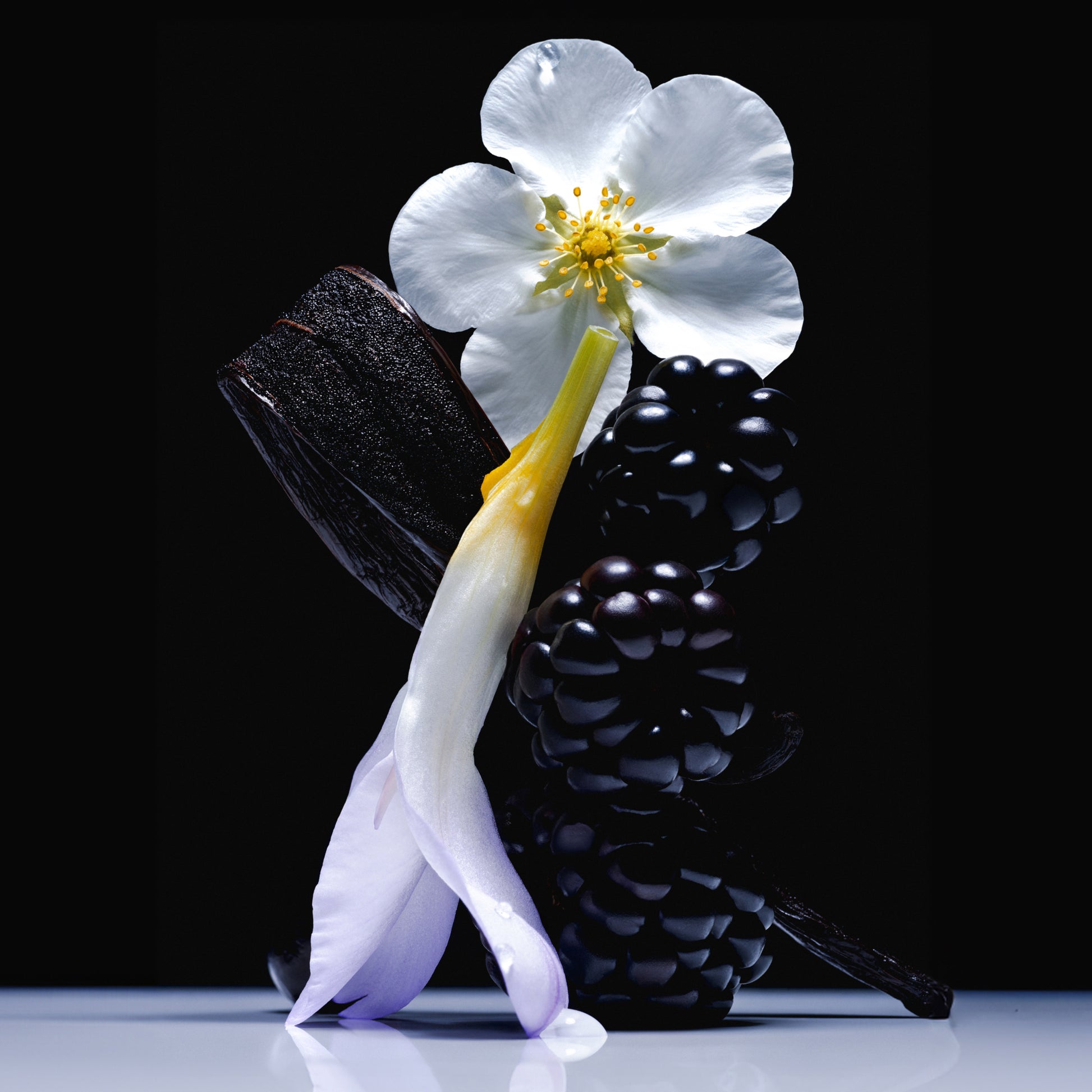 Vanilla Blackberry - Travel Size Body Mist - Phlur