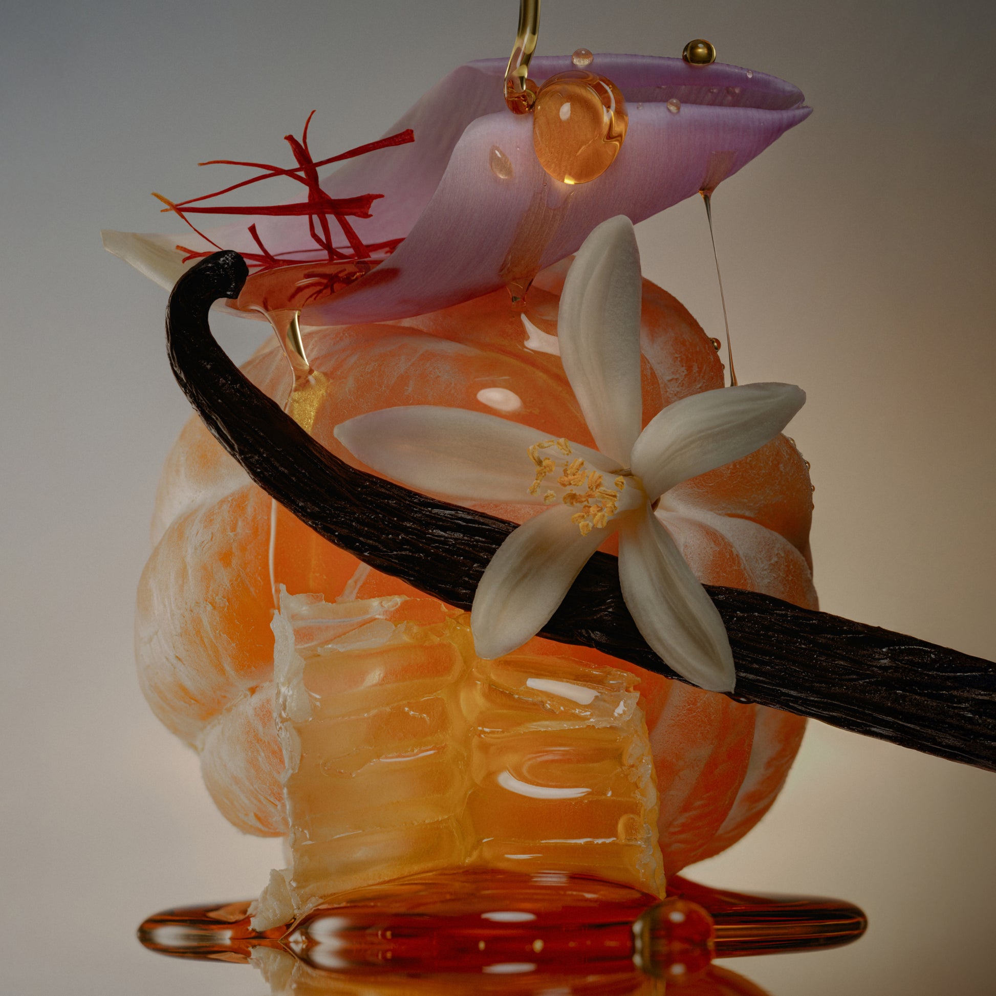 Honey Moon Perfume Ingredients