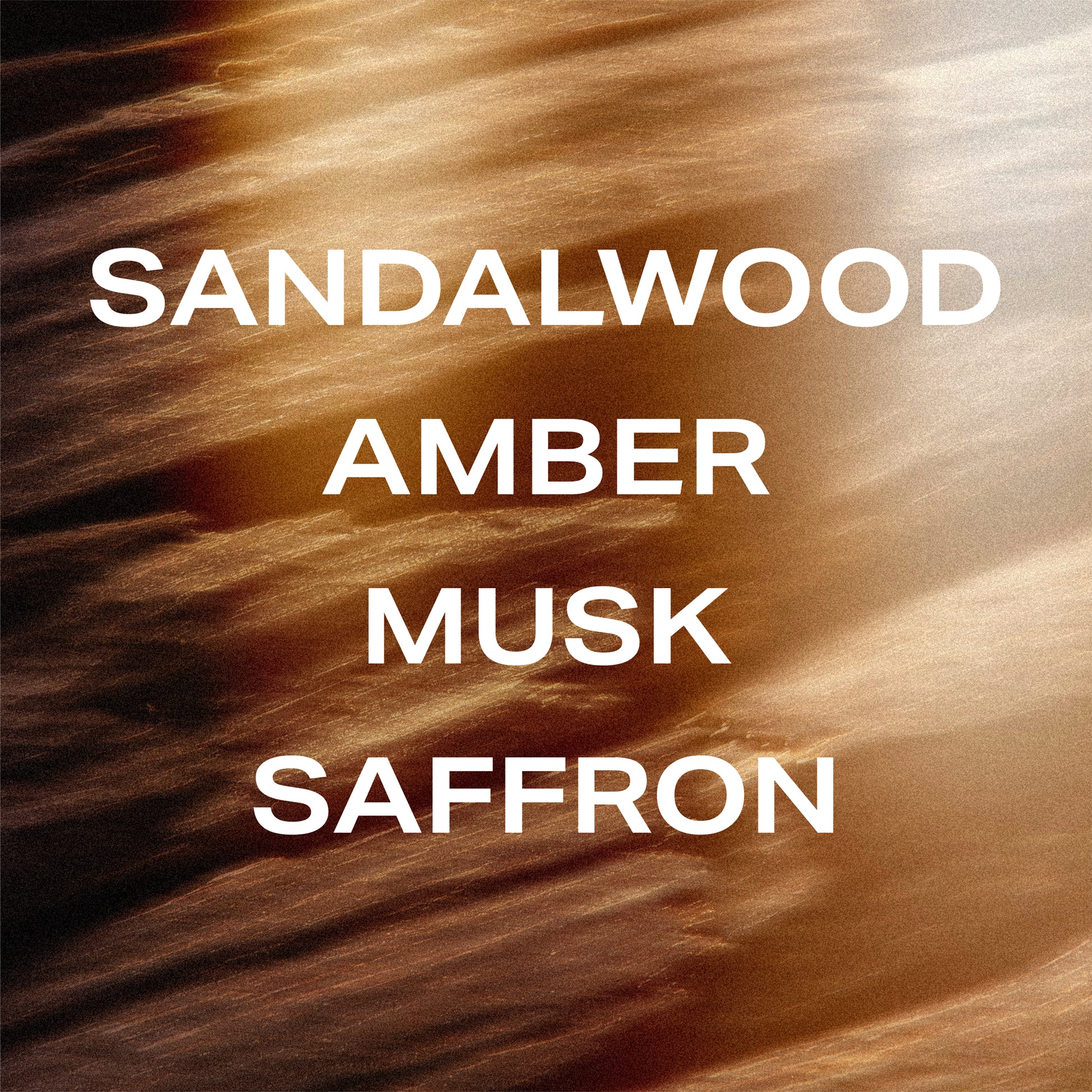 somebody wood perfume fragrance notes